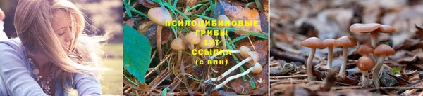 марихуана Верея