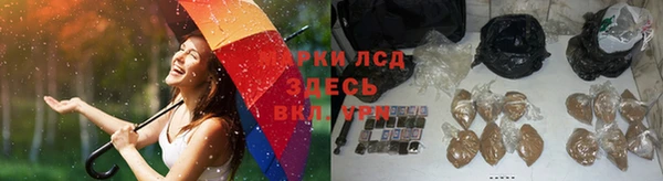 амф Верхний Тагил