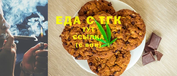амф Верхний Тагил