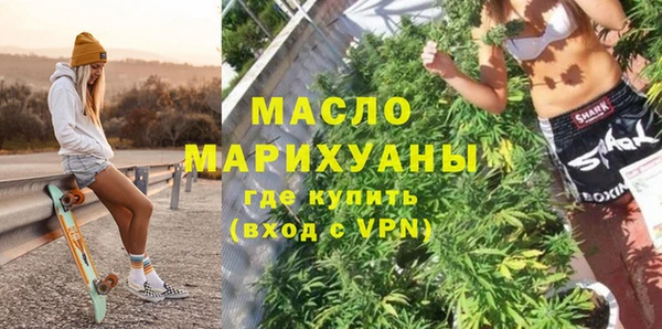 амф Верхний Тагил